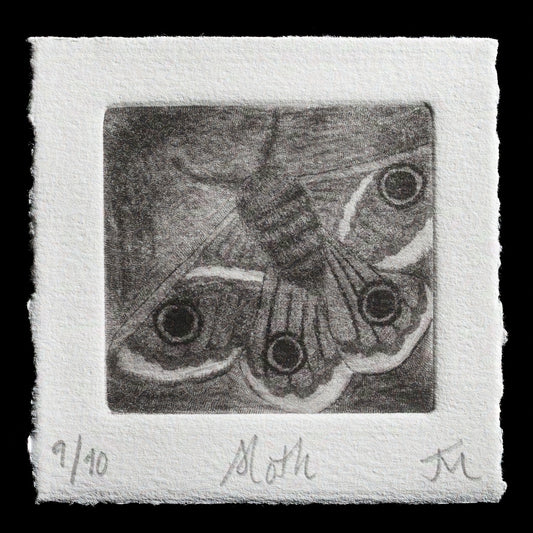 "Moth" by Jess Milhausen