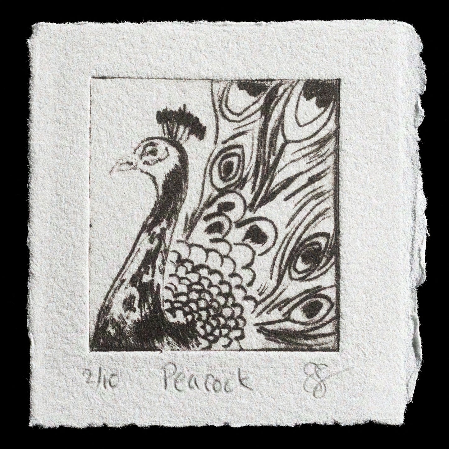 "Peacock" by Shikha Sharma