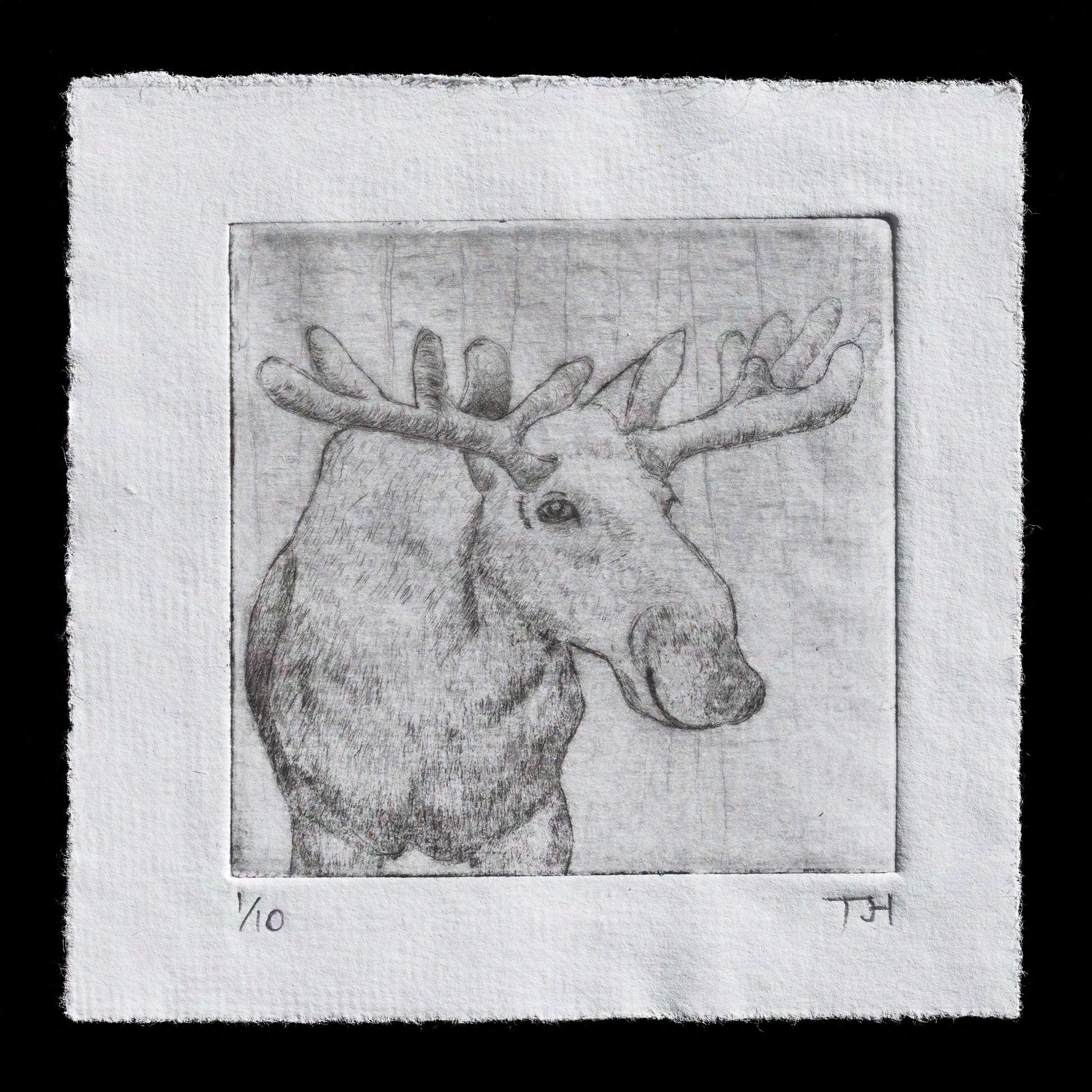 "Moose" by Tim Holmes