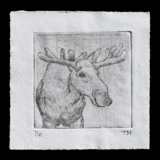 "Moose" by Tim Holmes
