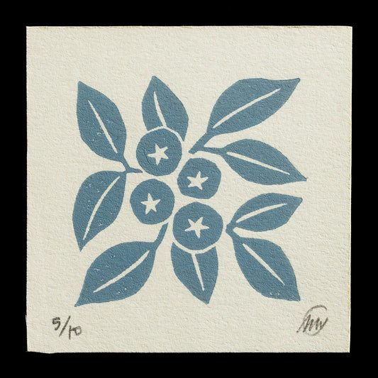 "Blueberries" by Morgan Swartz