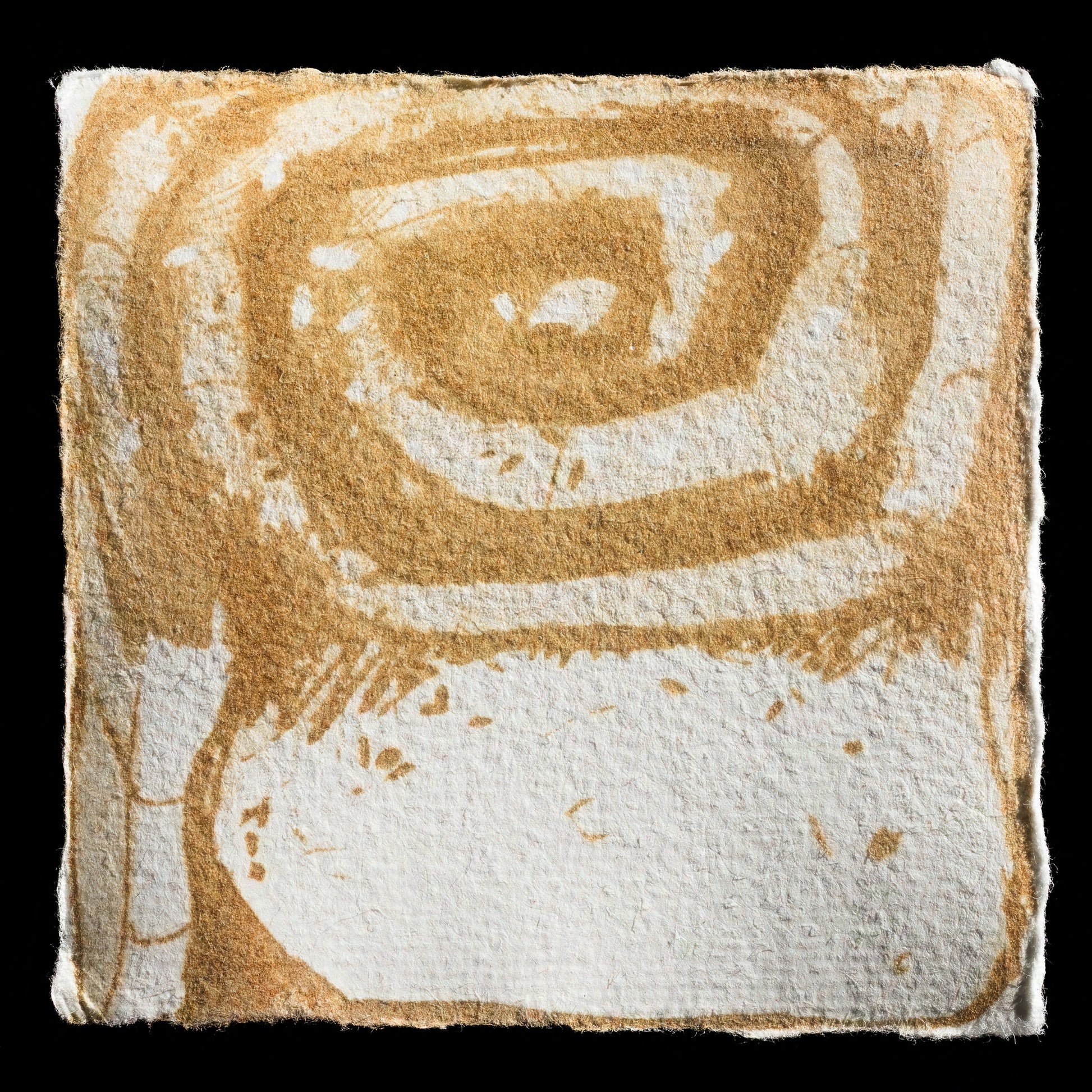 "Cinnamon Bun" by Martin Schneider