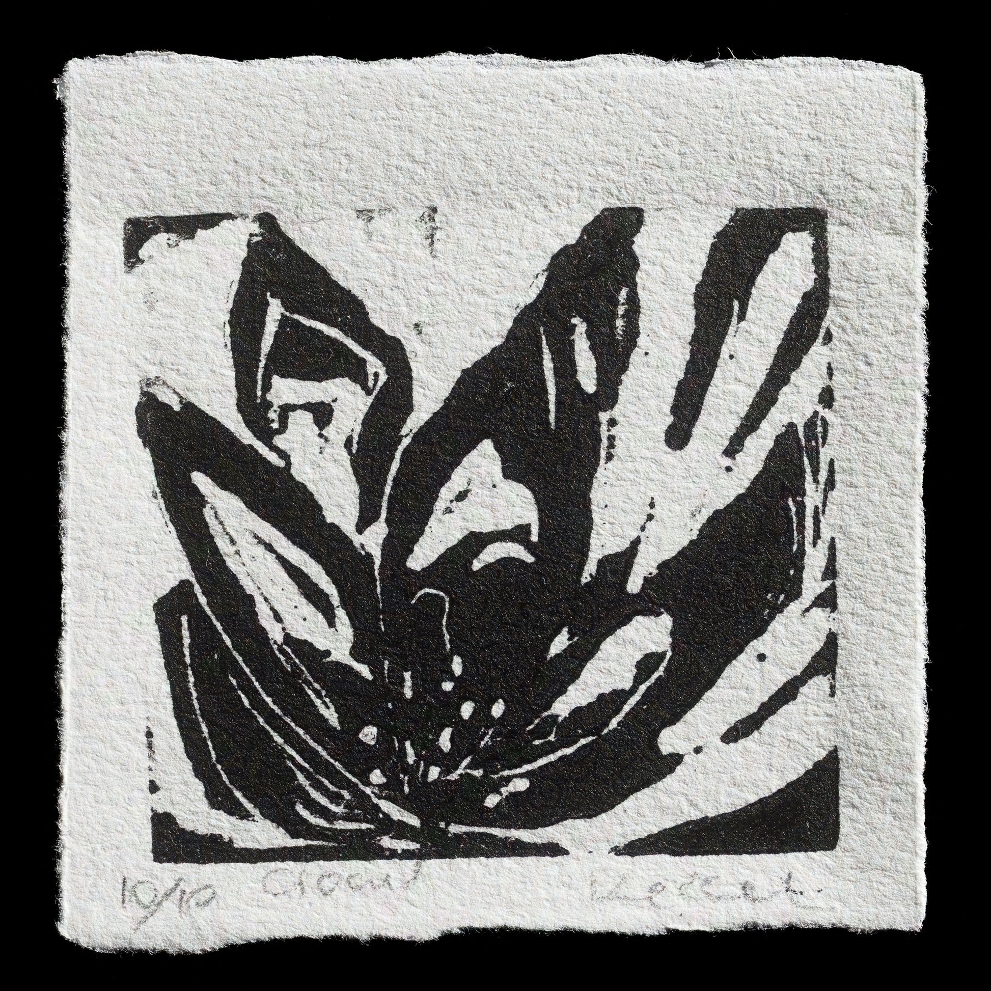 "crocus" by Eugenia