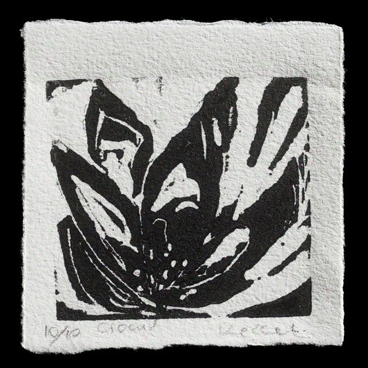 "crocus" by Eugenia