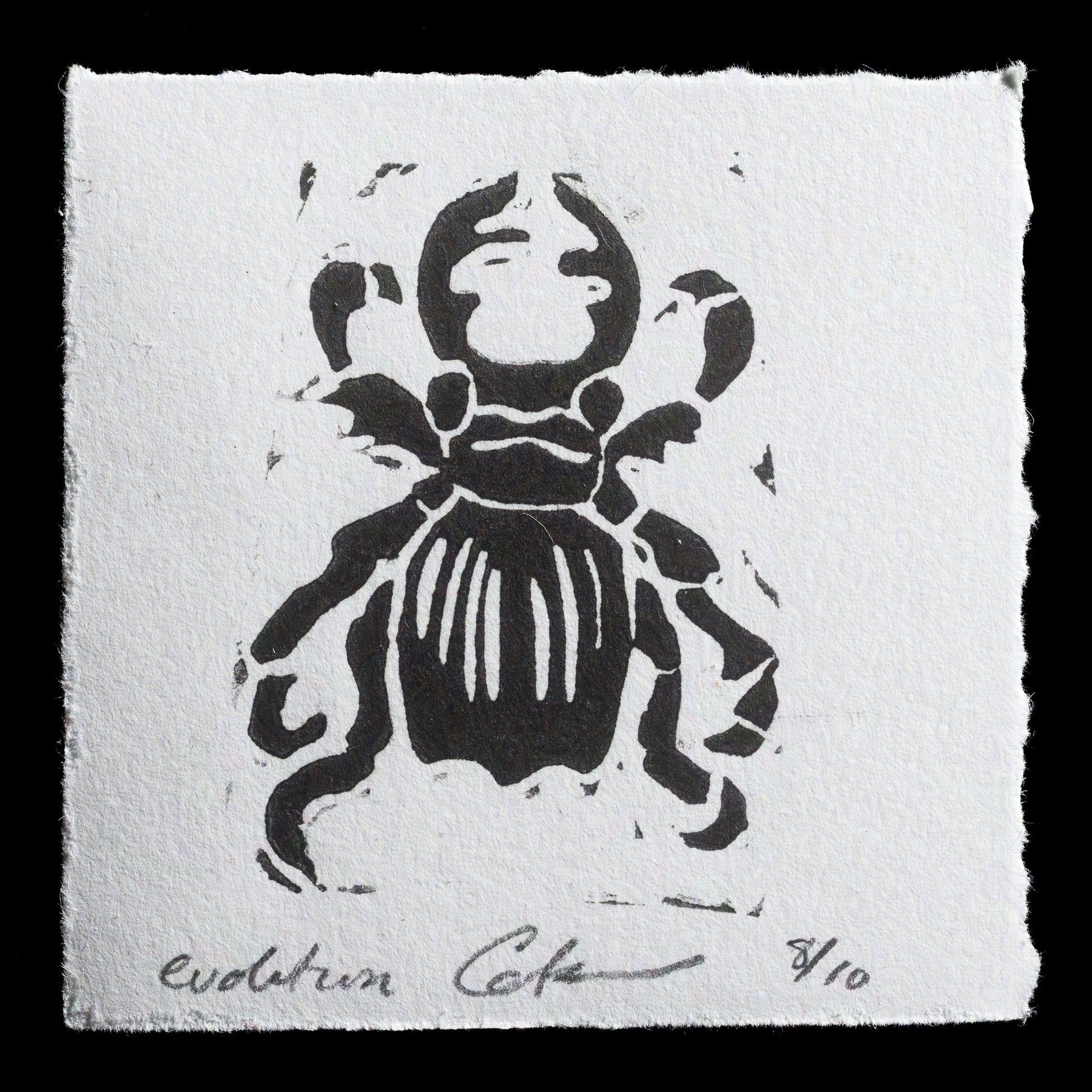 "Evolution" by Cate Hibbitt