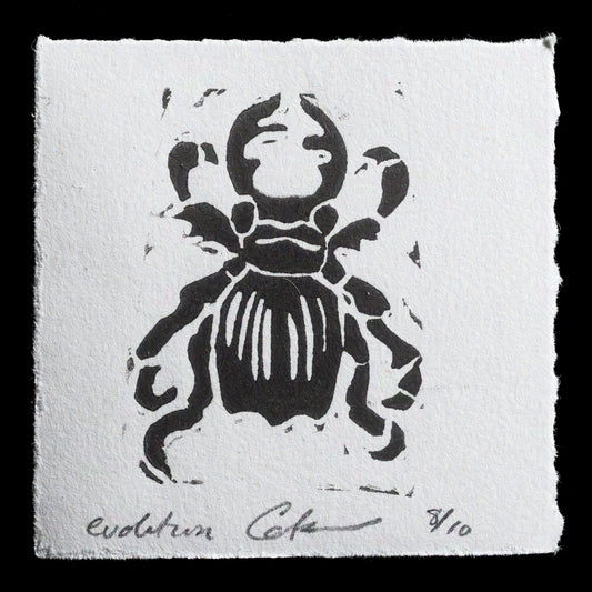 "Evolution" by Cate Hibbitt