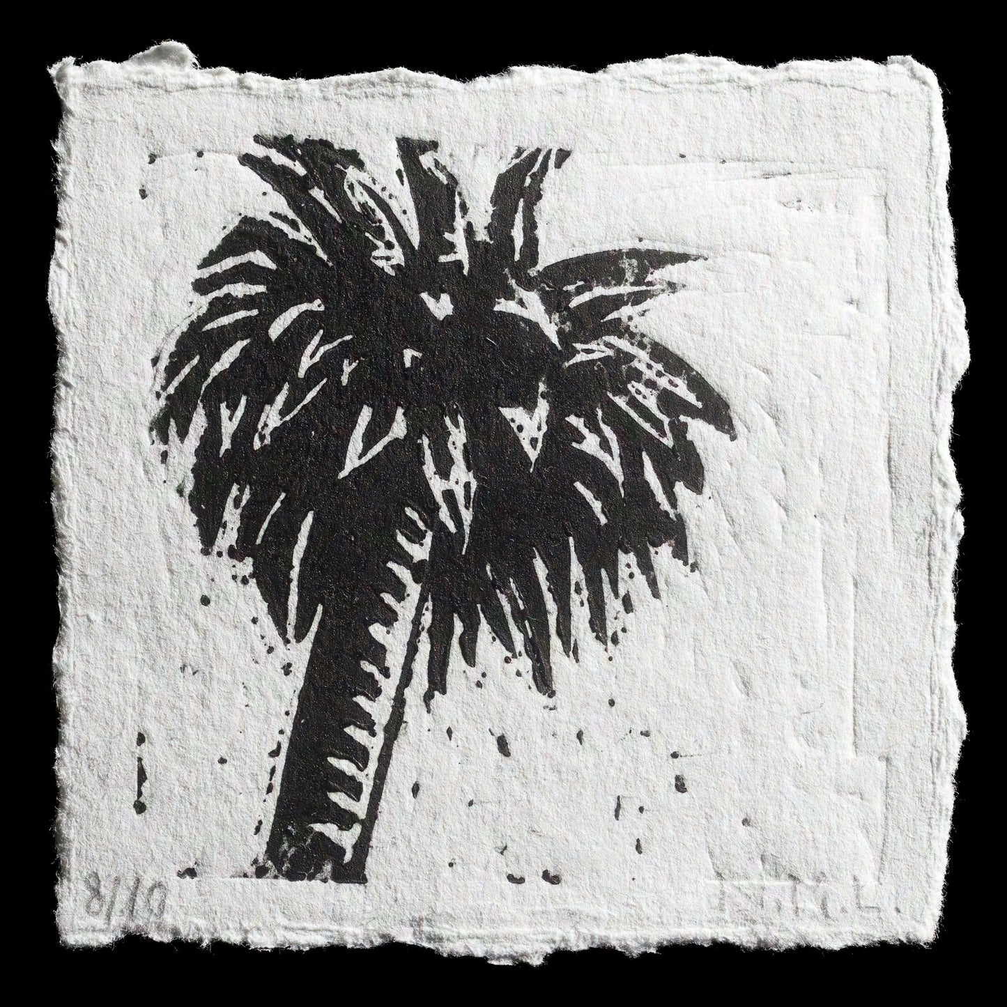 "Palm" by Nacho Martín