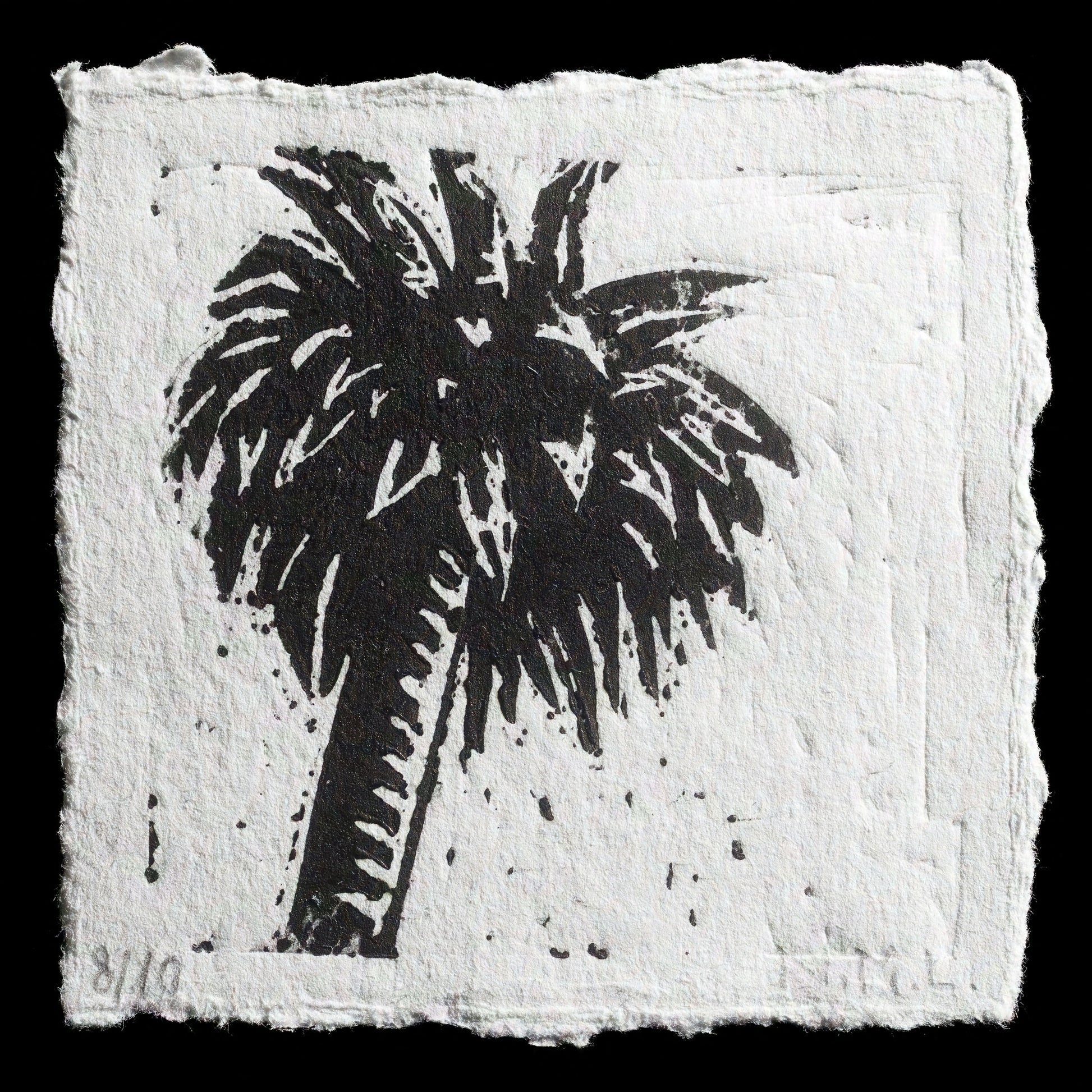 "Palm" by Nacho Martín
