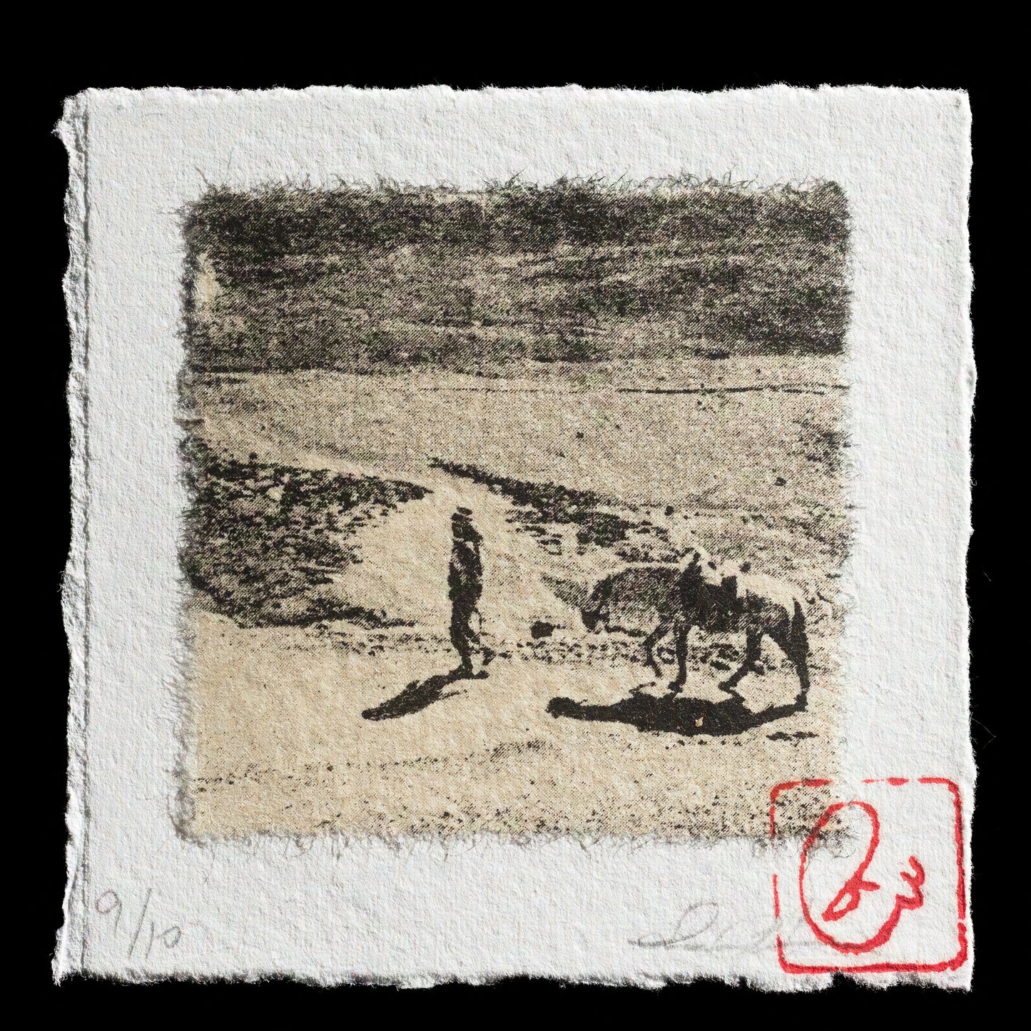 "caballo?" by Souleima Basha