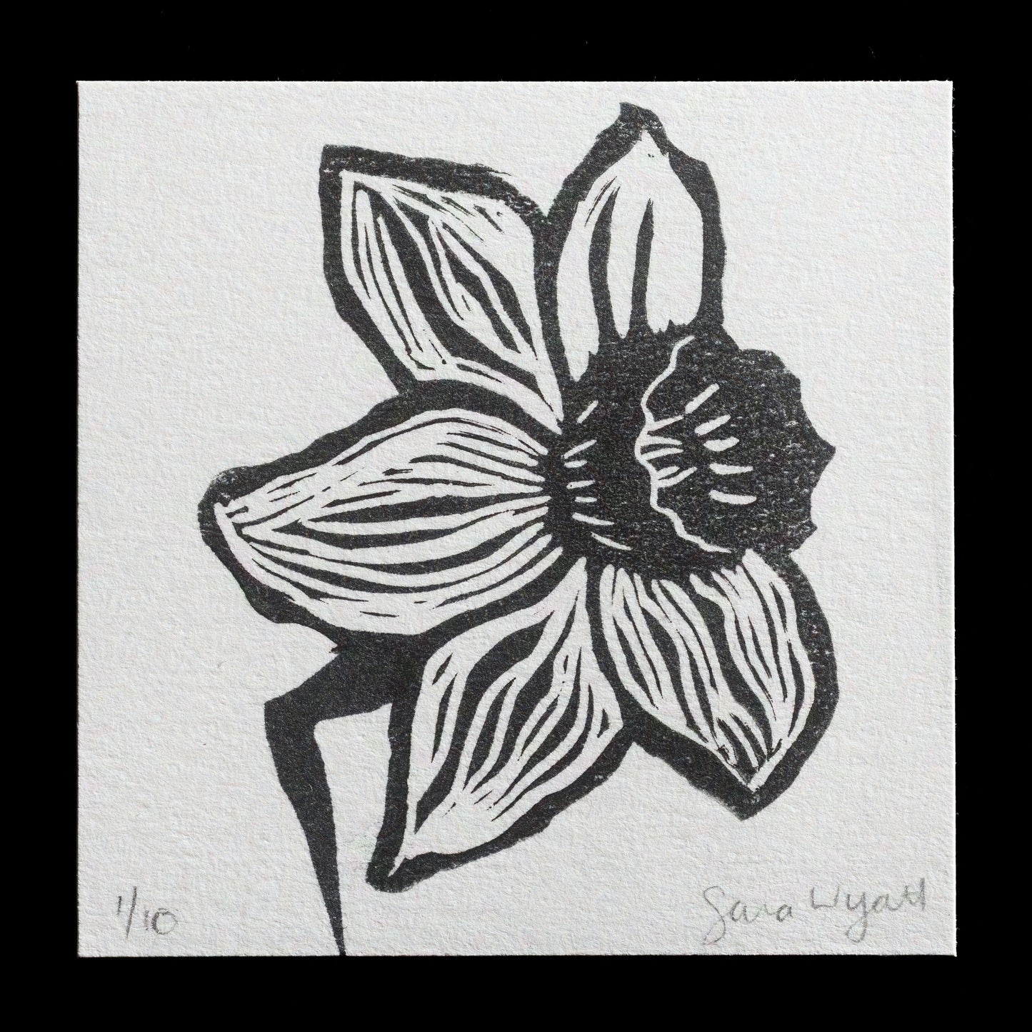 "Daffodil " by Sara Wyatt
