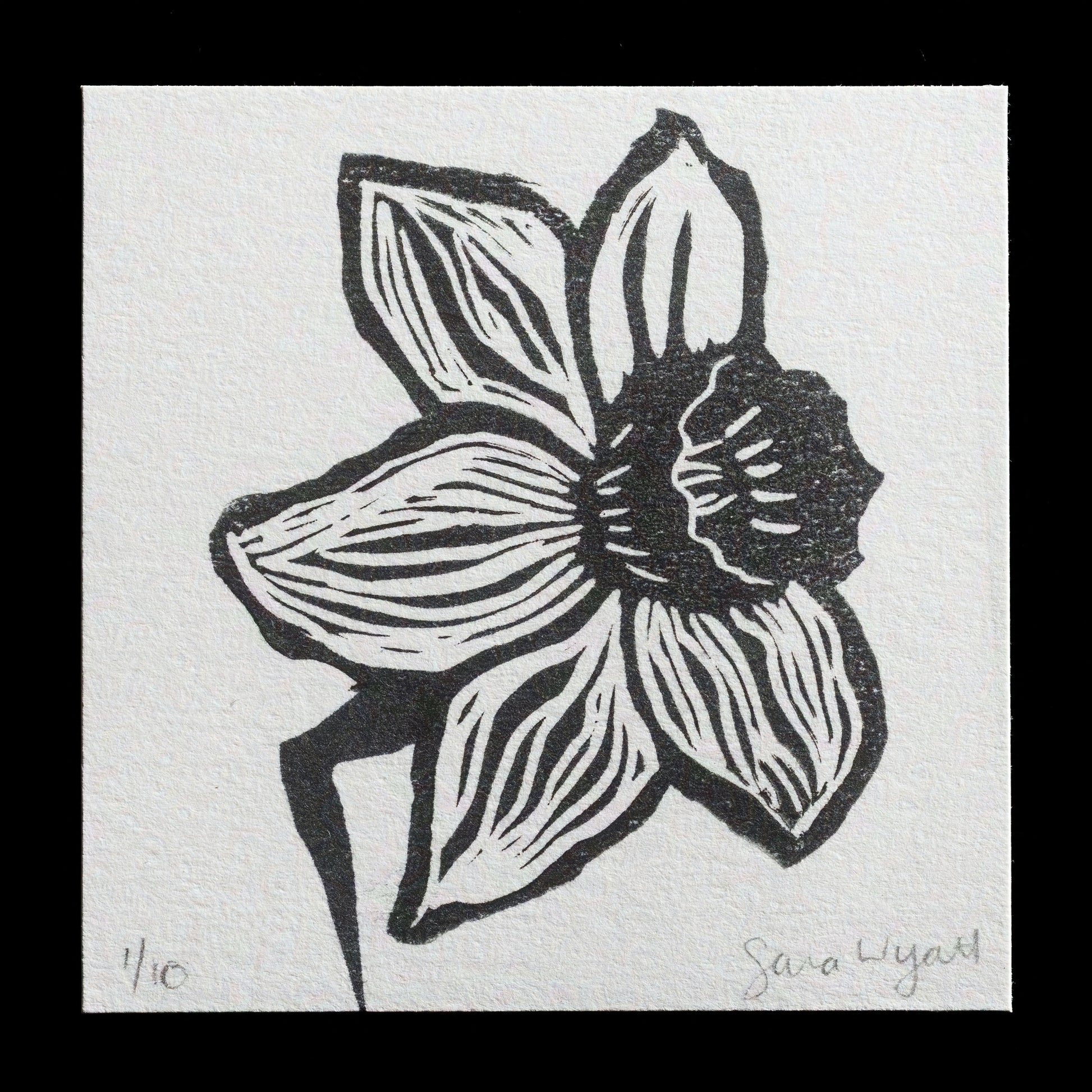 "Daffodil " by Sara Wyatt
