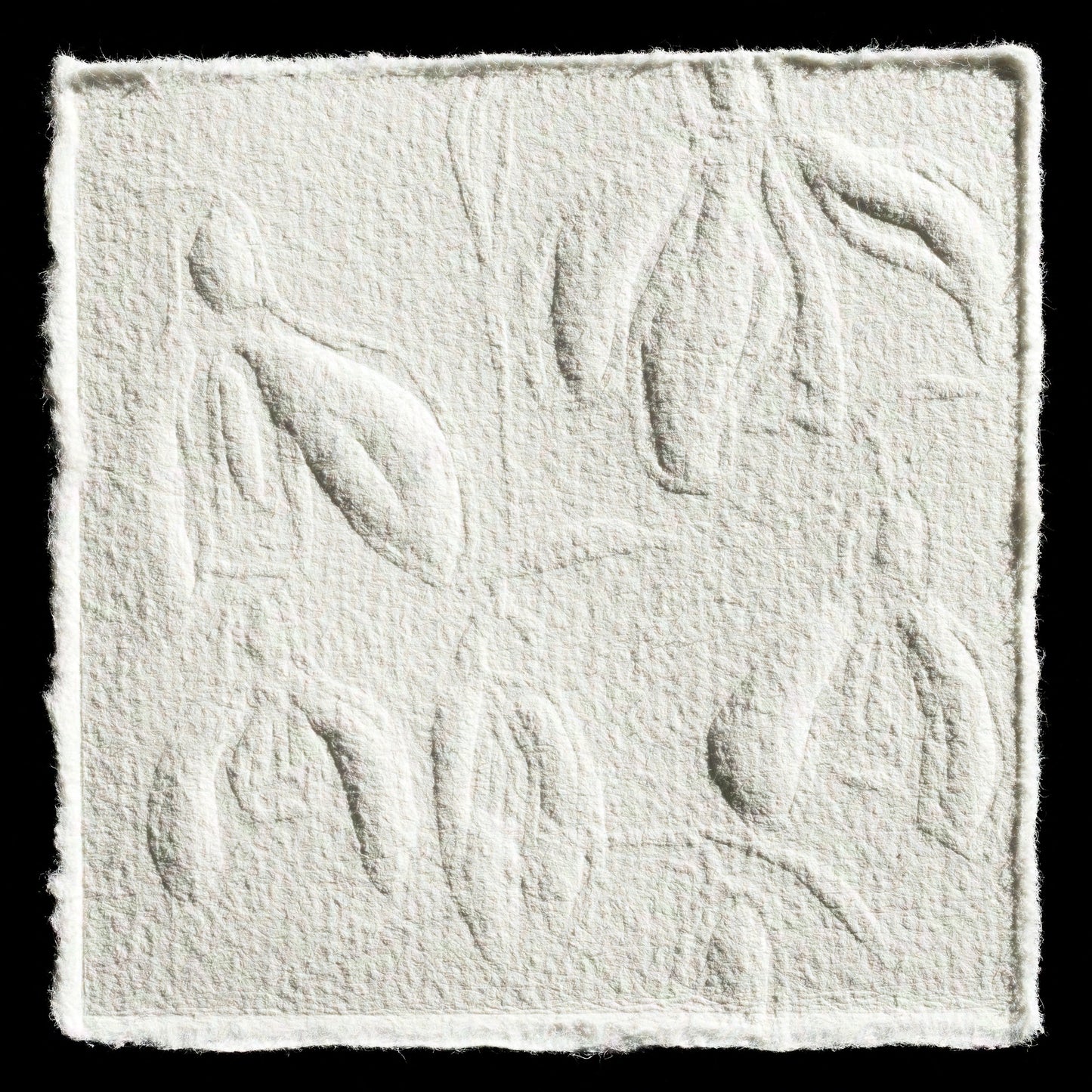 "Schneeglöckchen, snow drop" by Conny Stempel