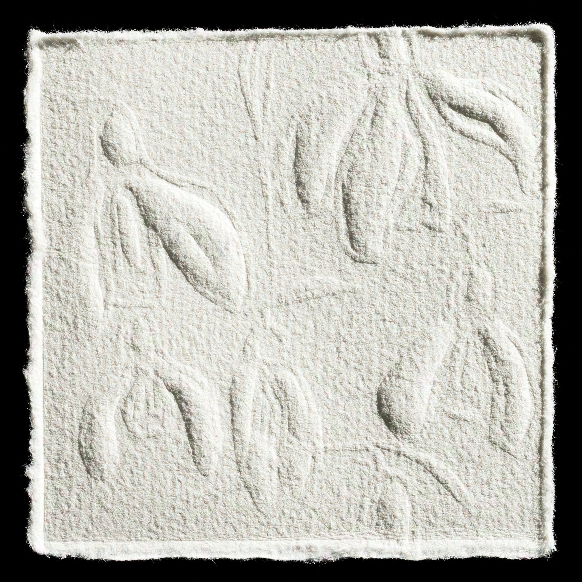 "Schneeglöckchen, snow drop" by Conny Stempel