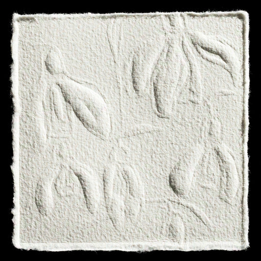 "Schneeglöckchen, snow drop" by Conny Stempel