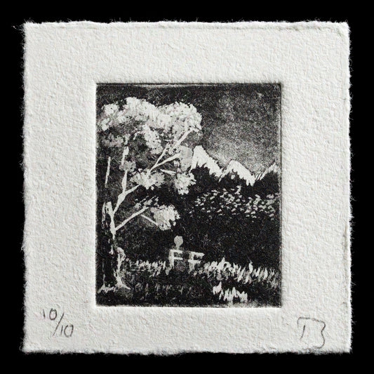This print features a serene landscape in shades of gray, titled "Silence" by Sven Buchert, created using aquatint techniques.

The image showcases a tranquil scene, with silhouetted trees and mountains set against a gray sky. The subtle color palette evokes a sense of calmness, while the intricate details of the aquatint technique add depth to the composition.