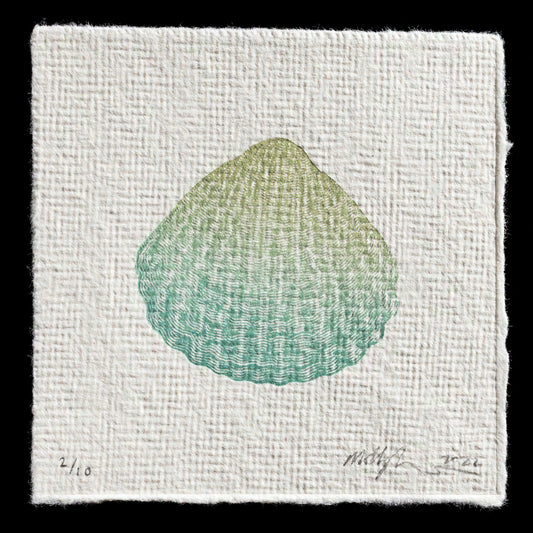 This captivating print by Molly Lemon showcases a seashell rendered in soothing shades of green and blue, executed through the precise technique of wood engraving. The intricate details of the shell are skillfully conveyed on a textured off-white background, inviting viewers to appreciate the beauty of nature's creations.