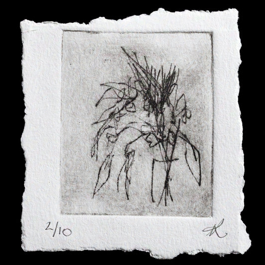 This etching by Lindy Green, titled "Flourish," features a delicate yet intricate depiction of foliage in black ink on white paper.

The central image showcases an arrangement of leaves and stems, which are depicted with fine lines and subtle shading that creates depth and texture. The overall effect is one of understated elegance, inviting the viewer to pause and appreciate the beauty of nature's simplicity.