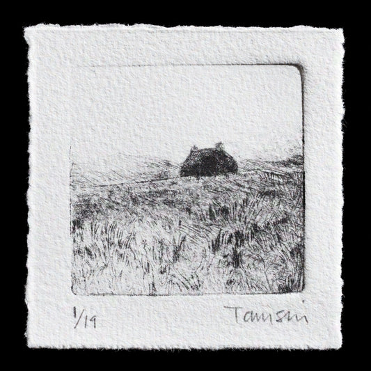This etching depicts a serene Scottish landscape featuring a small, dark-colored bothy nestled in a field of tall grasses.

**Visual Details:**

* The image is rendered in black ink on white paper.
* The artist's signature, "Tamsin", is discreetly placed at the bottom right corner.
