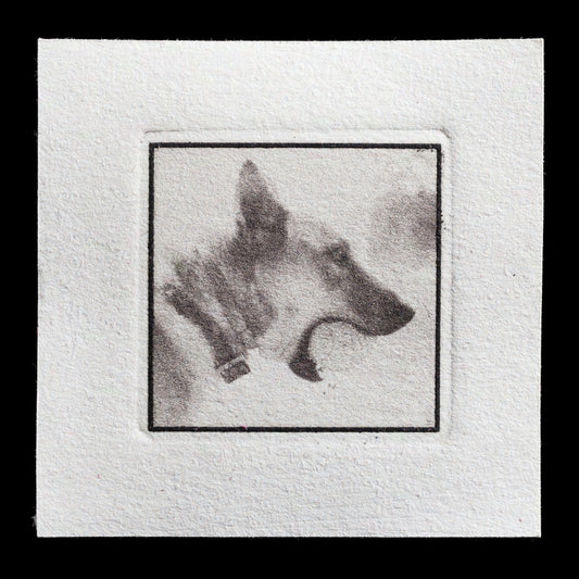 This print, titled "Mabel" by Jean Sanders, features a striking black-and-white portrait of a dog's head in profile, showcasing its distinctive ears and nose against a plain background. The photopolymer technique used to create this artwork gives it a unique texture and depth, while the monochromatic color scheme adds a sense of simplicity and elegance to the overall design.