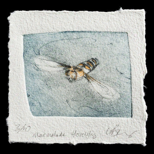 This print, "Marmalade Hoverfly" by Lynn Bailey, is a captivating piece that showcases her mastery of the drypoint technique. The artwork features an intricately detailed marmalade hoverfly set against a soft blue-grey background, with subtle hints of brown and black adding depth to the composition.