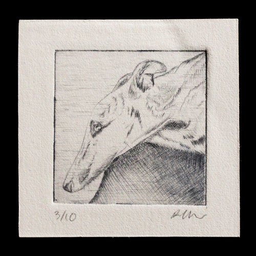 This original etching print, 'Laika,' showcases a detailed close-up of a dog's head, likely Laika, rendered in subtle black and white tones with fine lines and delicate texture. The artist's use of drypoint techniques creates a sense of depth and dimensionality on the paper surface.