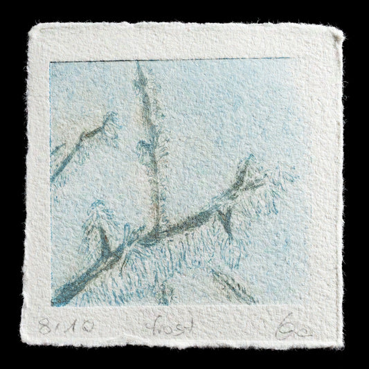 This captivating print, 'Frost,' is a testament to Lisa Trindeitmar's artistic skill, created using the innovative TetraPak technique. The monochromatic color palette features a soothing blend of blue and white hues, evoking a sense of serenity and tranquility. The intricate details in the frost-covered branches add depth and texture to the composition, inviting viewers to contemplate the beauty of nature's fleeting moments.