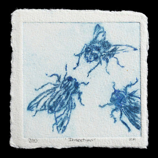 This drypoint print, titled "Insectum" by Karen Hurford, features three blue flies set against a light grey background.