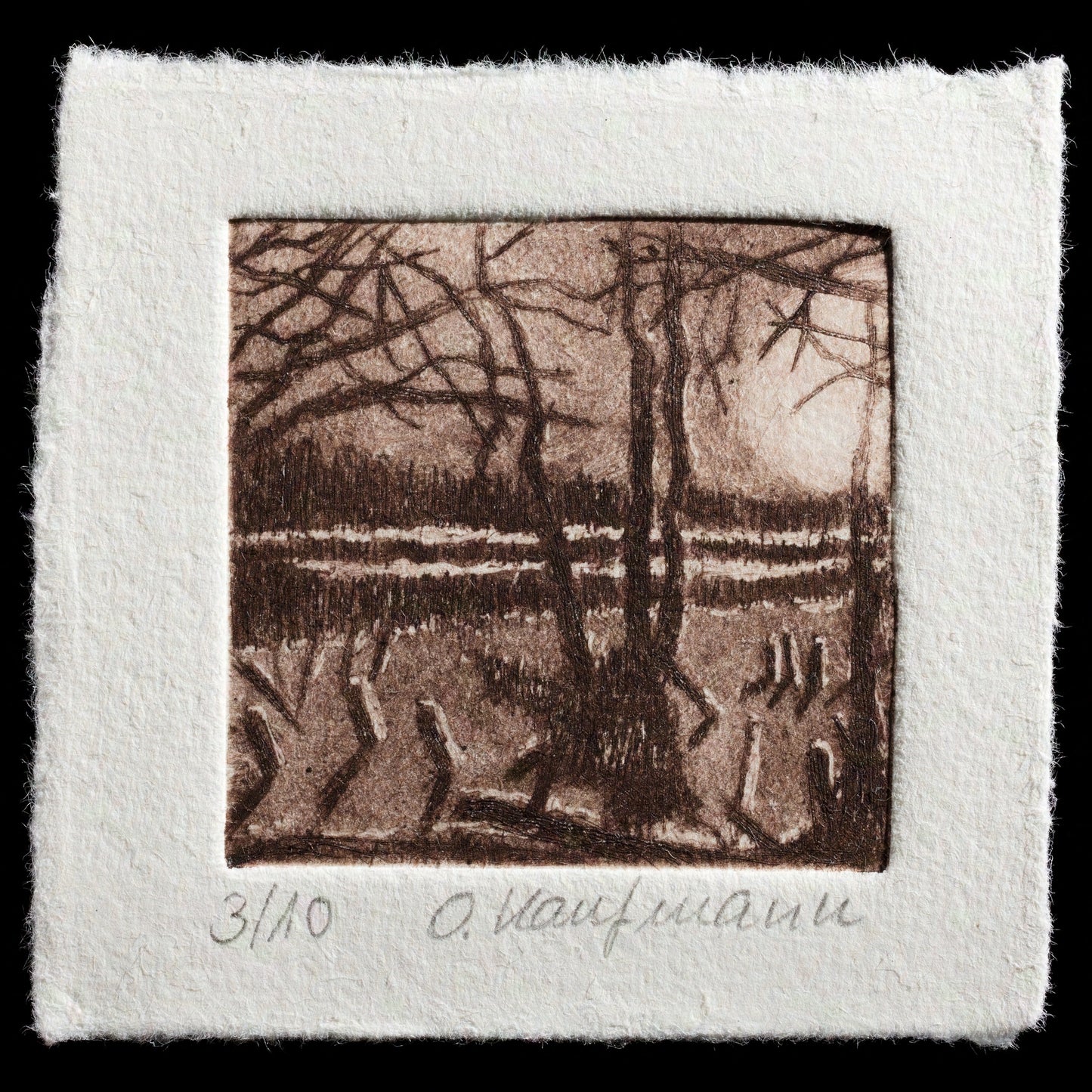 This etching by Olivia Kaufmann features a monochromatic color scheme with dark brown tones, showcasing a landscape with bare trees and grasses in the foreground, set against a distant forest. The artist's use of drypoint technique creates a textured, detailed image that invites contemplation.