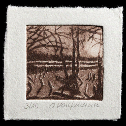 This etching by Olivia Kaufmann features a monochromatic color scheme with dark brown tones, showcasing a landscape with bare trees and grasses in the foreground, set against a distant forest. The artist's use of drypoint technique creates a textured, detailed image that invites contemplation.