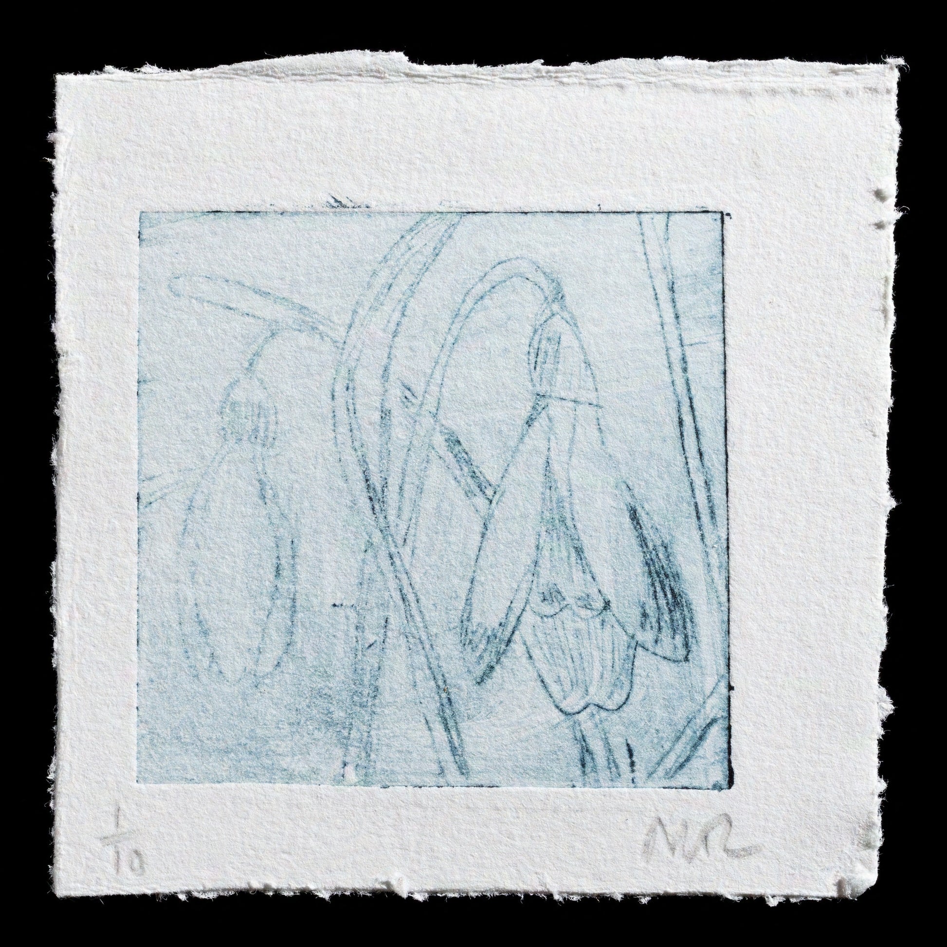 This captivating print, "Somerset Snowdrops" by Nina Gronw-Lewis, showcases delicate drypoint technique. Against a muted blue-grey background, a single snowdrop flower takes center stage amidst bare branches and foliage, exuding elegance and simplicity.