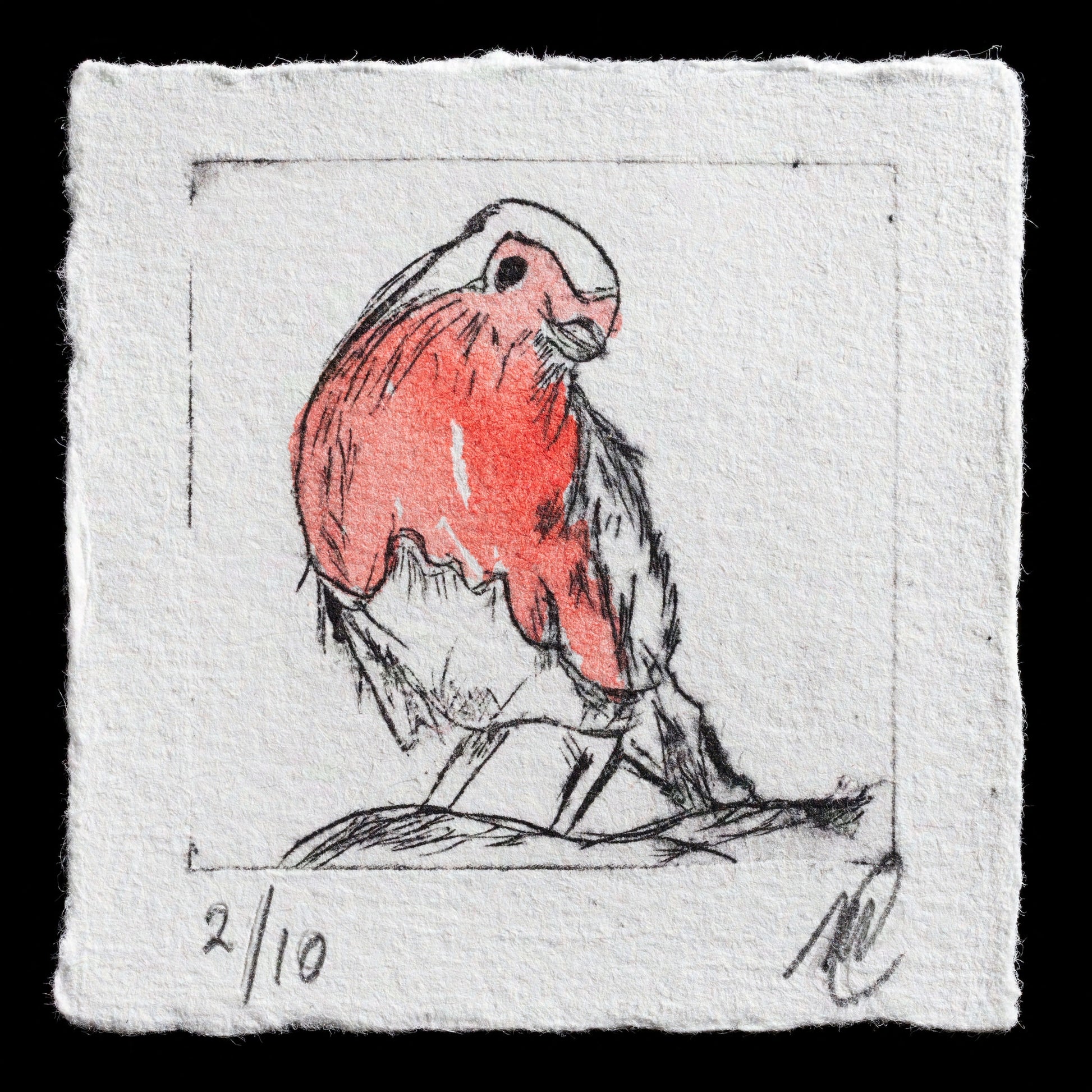 This etching by Mirjam Coolen features a charming bird perched on a branch, its plumage rendered in bold reds, complemented by soft grey and white accents. The artist's use of drypoint technique imbues the image with texture and depth, creating a captivating visual experience.