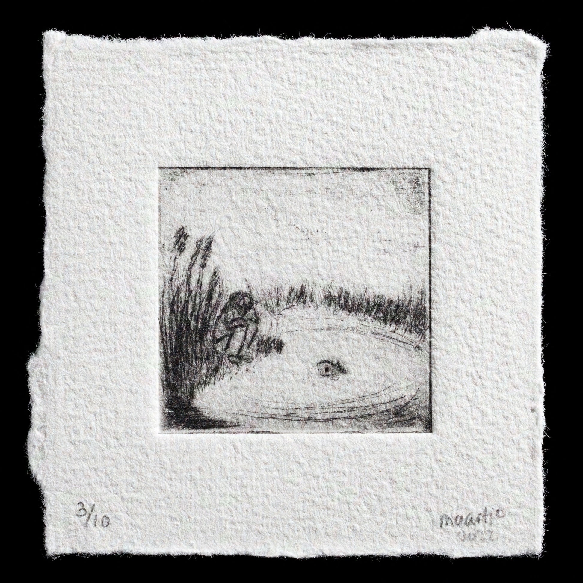 The image depicts a drypoint print titled 'Vijver' by artist Maartje. The print features a serene scene of a pond with grasses and reeds surrounding it, evoking a sense of calmness and tranquility. The soft, muted tones of the print create a soothing atmosphere, inviting the viewer to appreciate the beauty of nature.