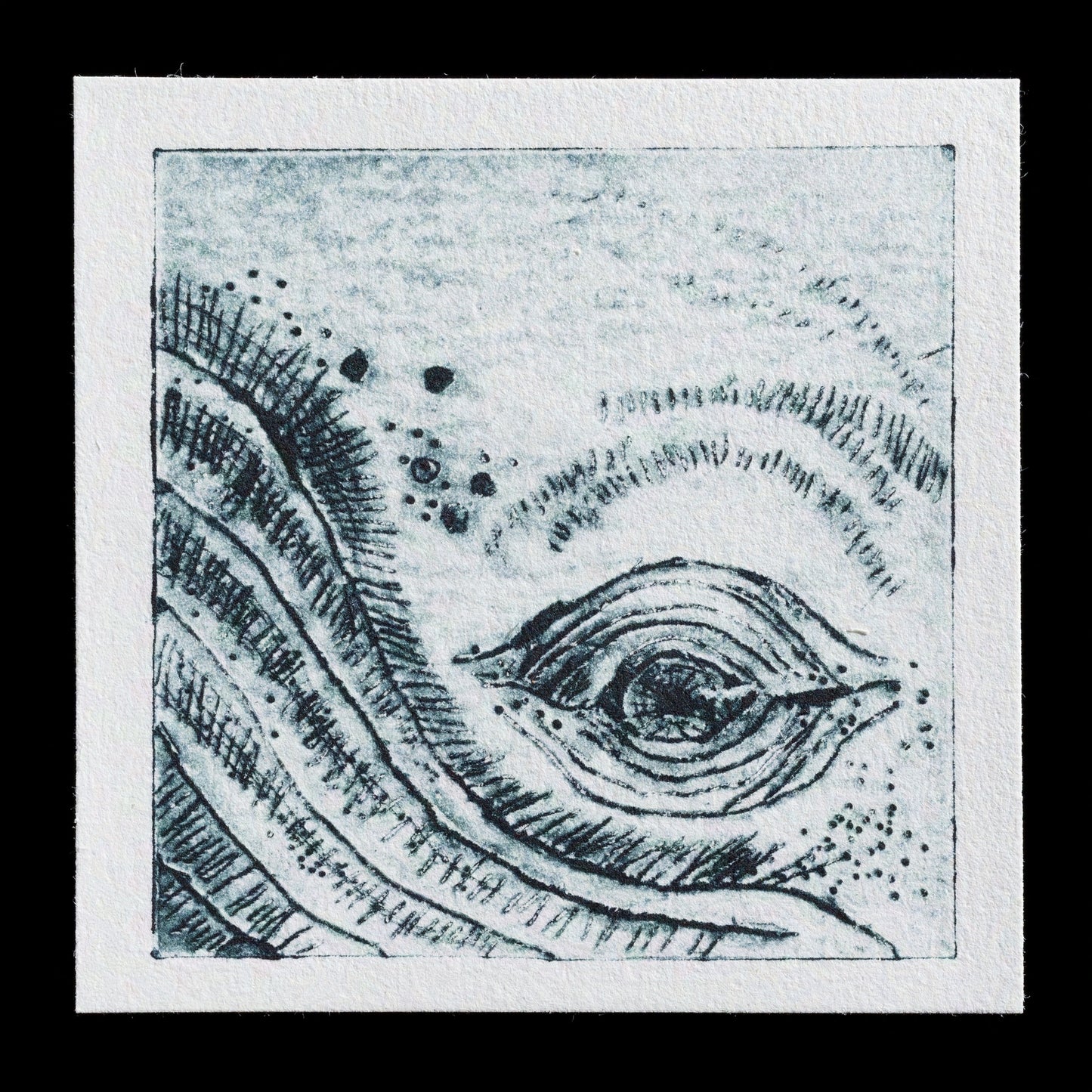 This print, 'Humpback Whale Eye' by Shannon Moynagh, showcases a detailed and realistic depiction of a humpback whale's eye. Created using TetraPak techniques, the artwork features a predominantly black color scheme with subtle gray undertones, emphasizing the intricate details of the whale's ocular anatomy.