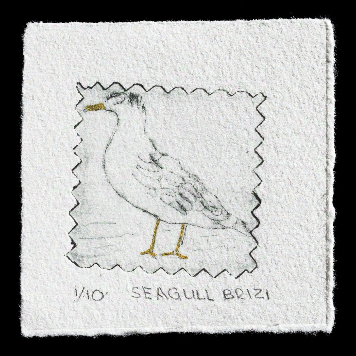This print, titled "Seagull" by Brigitte Zimmermann, features a seagull rendered in drypoint technique on textured paper with subtle gold accents. The image is set against a stark black background, allowing the bird's details to take center stage.