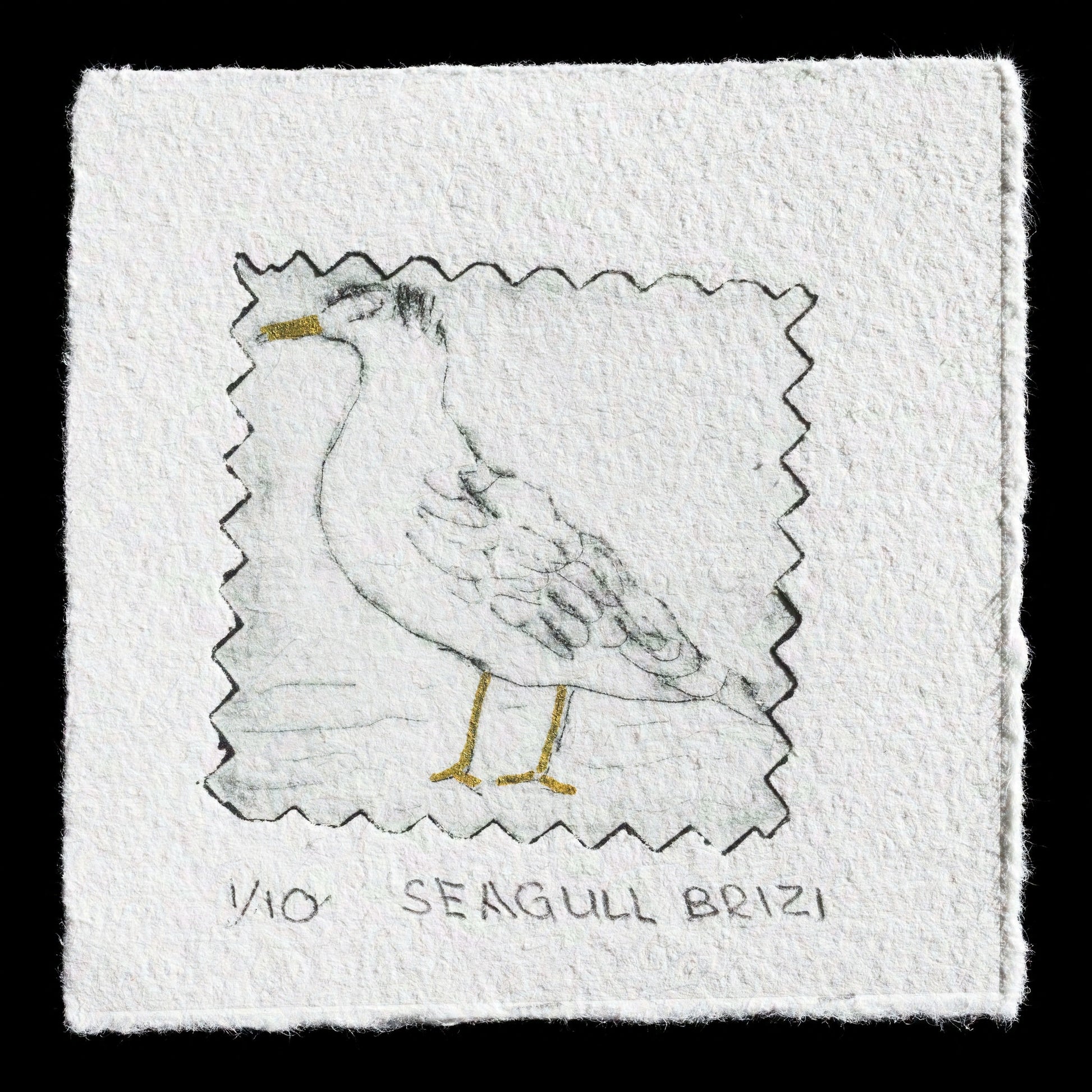 This print, titled "Seagull" by Brigitte Zimmermann, features a seagull rendered in drypoint technique on textured paper with subtle gold accents. The image is set against a stark black background, allowing the bird's details to take center stage.