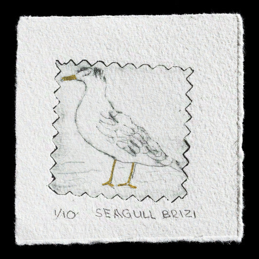 This print, titled "Seagull" by Brigitte Zimmermann, features a seagull rendered in drypoint technique on textured paper with subtle gold accents. The image is set against a stark black background, allowing the bird's details to take center stage.