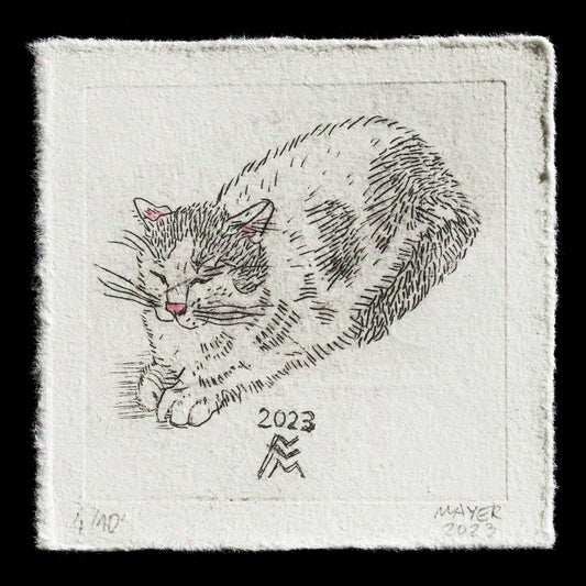 This etching titled "Master Filou" by Friedrich Mayer showcases a serene sleeping cat in black watercolor ink, surrounded by a subtle gray border with a TetraPak texture. The artist's distinctive use of intaglio techniques brings depth and nuance to the piece.