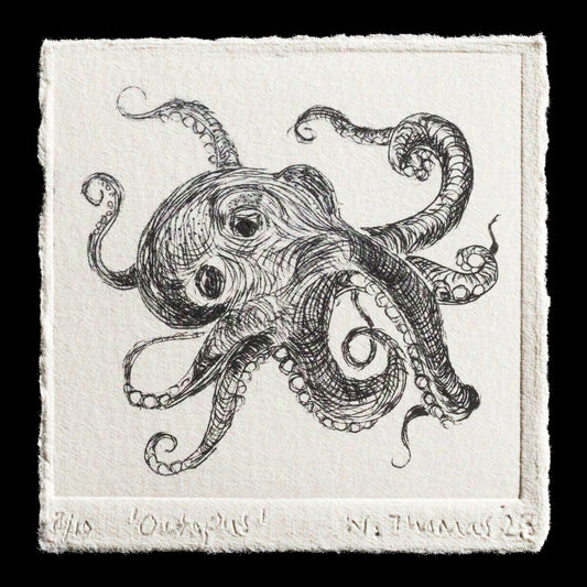 This print, titled "Octopus" by Wendy Thomas, showcases an octopus rendered in black ink on off-white paper through drypoint and etching techniques. The image features a single subject, with no visible background or additional elements.