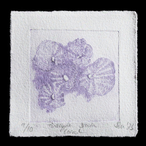 This print by Sina-Kirana Soekarman showcases a detailed representation of Pineapple Brain Coral using intaglio and drypoint techniques.

**Color Palette:**

* Dominant color: purple
* Secondary color: white (text)

**Visual Details:**

* The coral is rendered in intricate detail, with visible texture and shading.
* A subtle border surrounds the image, adding depth without distracting from the central subject.