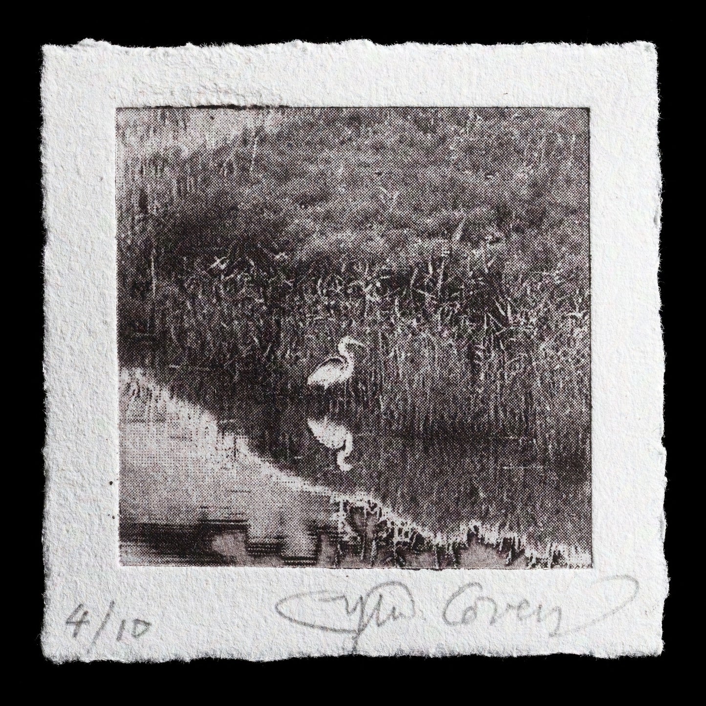 This monochromatic etching print titled "Reflection" by Sylvie Covey features a serene scene with two white herons reflected in calm water.

The image showcases a tranquil landscape dominated by shades of grey, with subtle hints of texture and pattern visible throughout the composition. The overall effect is one of understated elegance and refinement, inviting viewers to reflect on the natural world.