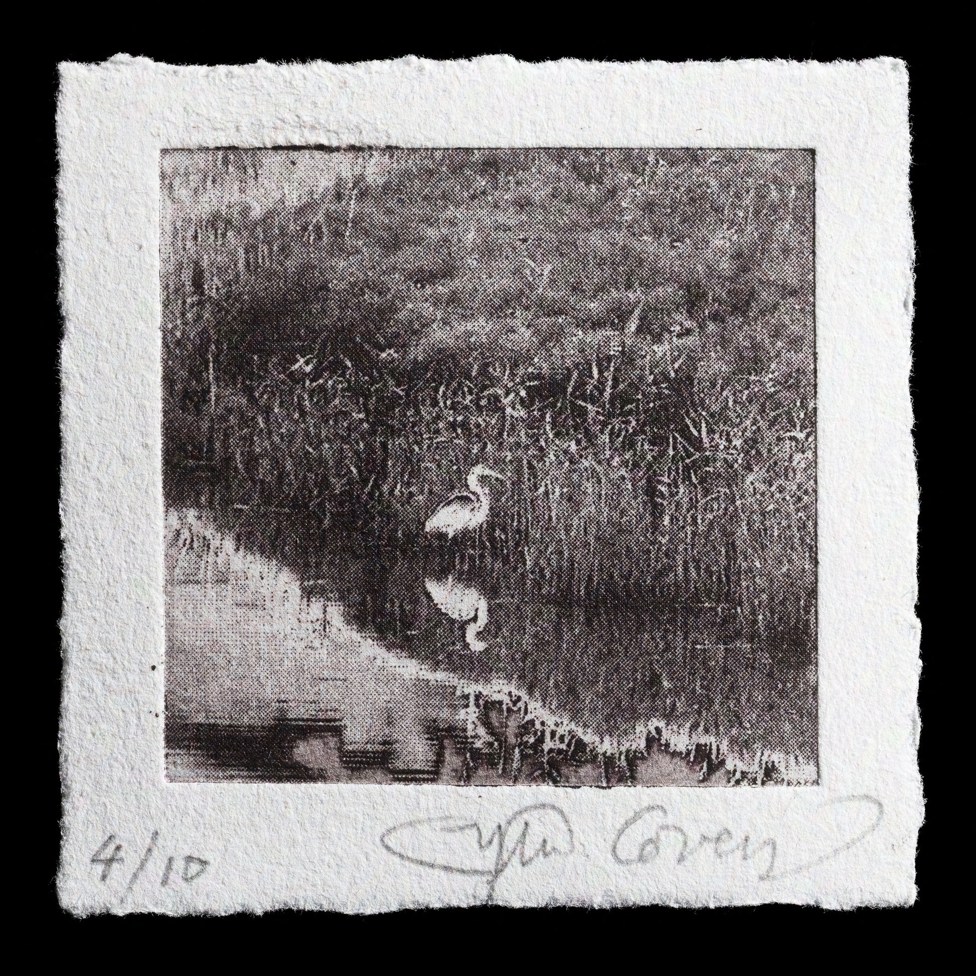 This monochromatic etching print titled "Reflection" by Sylvie Covey features a serene scene with two white herons reflected in calm water.

The image showcases a tranquil landscape dominated by shades of grey, with subtle hints of texture and pattern visible throughout the composition. The overall effect is one of understated elegance and refinement, inviting viewers to reflect on the natural world.