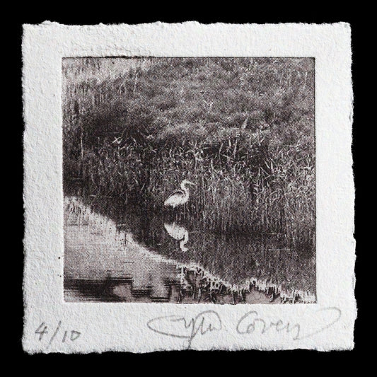 This monochromatic etching print titled "Reflection" by Sylvie Covey features a serene scene with two white herons reflected in calm water.

The image showcases a tranquil landscape dominated by shades of grey, with subtle hints of texture and pattern visible throughout the composition. The overall effect is one of understated elegance and refinement, inviting viewers to reflect on the natural world.