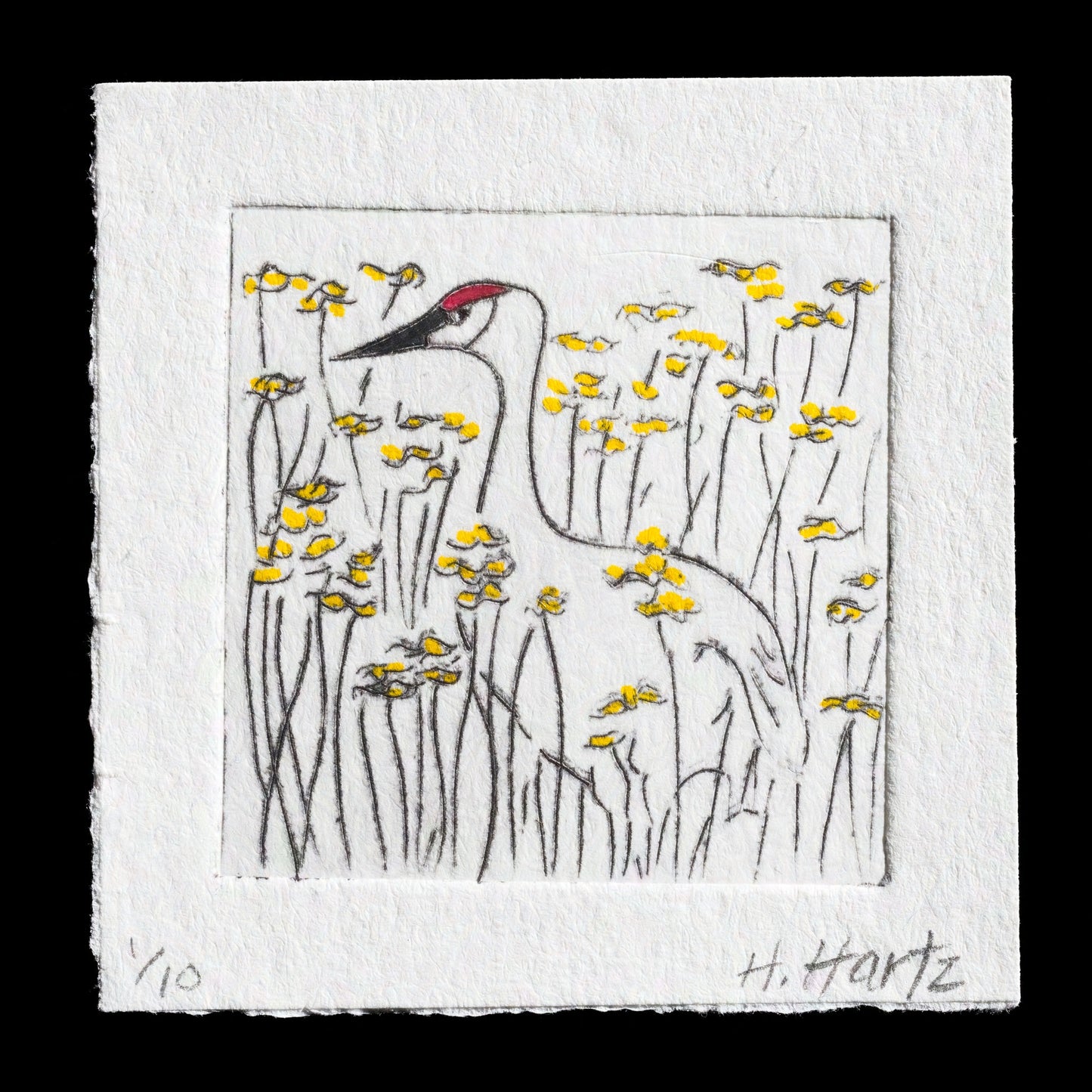 This print, titled "Untitled" by Heather Hartz, features a crane amidst yellow flowers in a square composition. Created using drypoint techniques, it showcases a delicate balance of natural elements against a crisp white background.