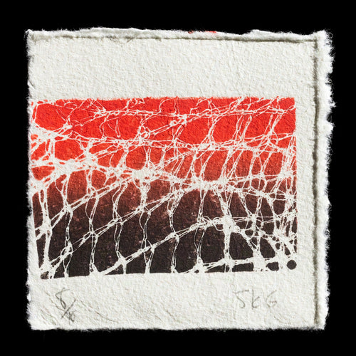 This mixed-media artwork by Sarah Green combines monoprint and monotype techniques, featuring a striking composition set against an off-white background. A red rectangle dominates the top half, while intricate white lines traverse both sections, creating a visually captivating piece. The title 'On the Fence' is not explicitly stated in this image.