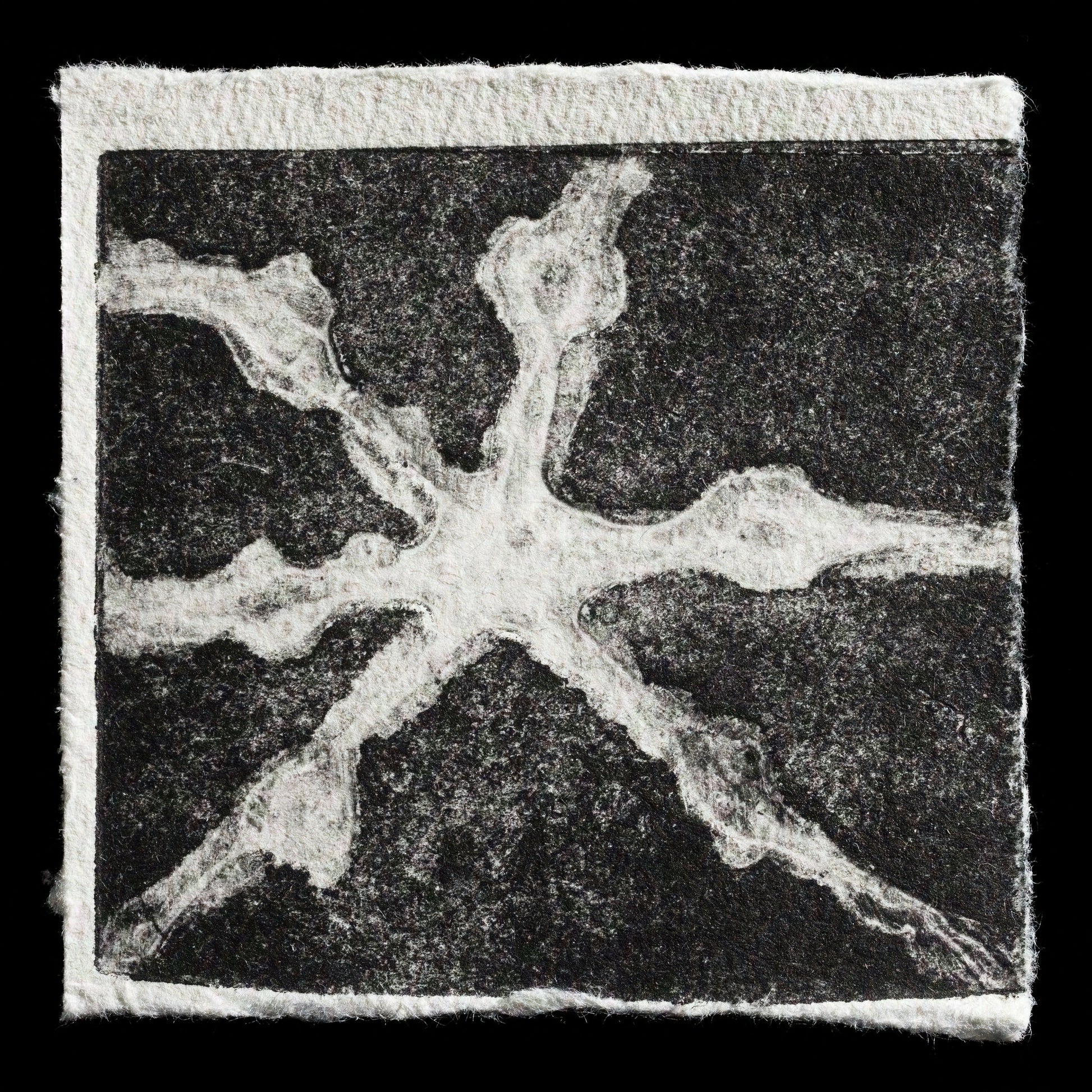 The print 'Synapse' by Louise Wiseman is a captivating collagraph that delves into the intricate world of neural connections. Against a striking black background, wispy white lines evoke the delicate dance of synapses, inviting contemplation on the complexities of human cognition.