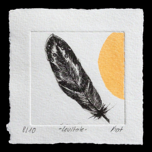This captivating print, titled "levitate" by Kat, showcases a stunning black feather with delicate water droplets against a striking yellow half-circle background. The artist's use of etching techniques creates intricate textures and details that bring this piece to life.