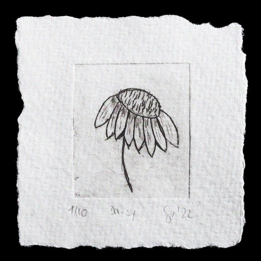 This black and white print showcases a delicate etching of a daisy flower against a solid grey background. Created by Martina Grabinsky using intaglio techniques with TetraPak, the artwork features a single stem with a leaf and six petals on one side of the flower. The drypoint technique enhances the texture of the leaves and stem, while the engraving adds depth to the flower's center.