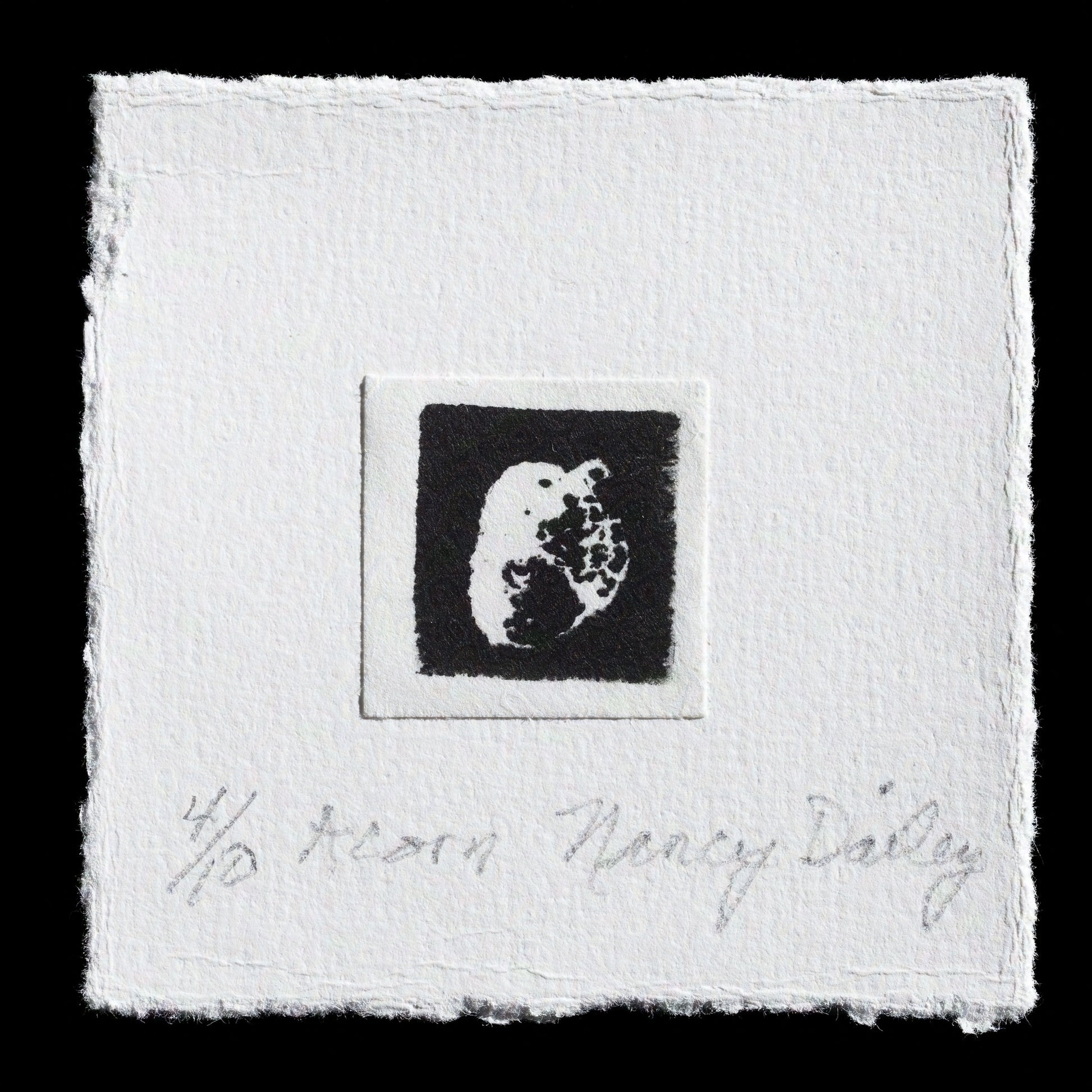 This print, titled "Acorn" by Nancy Dailey, showcases a stunning black and white image of an acorn using relief printing techniques. A laser-cut square surrounds the image in relief style, adding texture to the design. The intricate details and neutral color palette make this piece a captivating addition to any art collection.