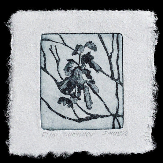 This aquatint print, titled "lucylucy" by Ulrike Simons, features a striking composition with black lines and dark gray tones that evoke a sense of depth and dimensionality. The intricate details and textures created through the aquatint technique add visual interest to this piece.