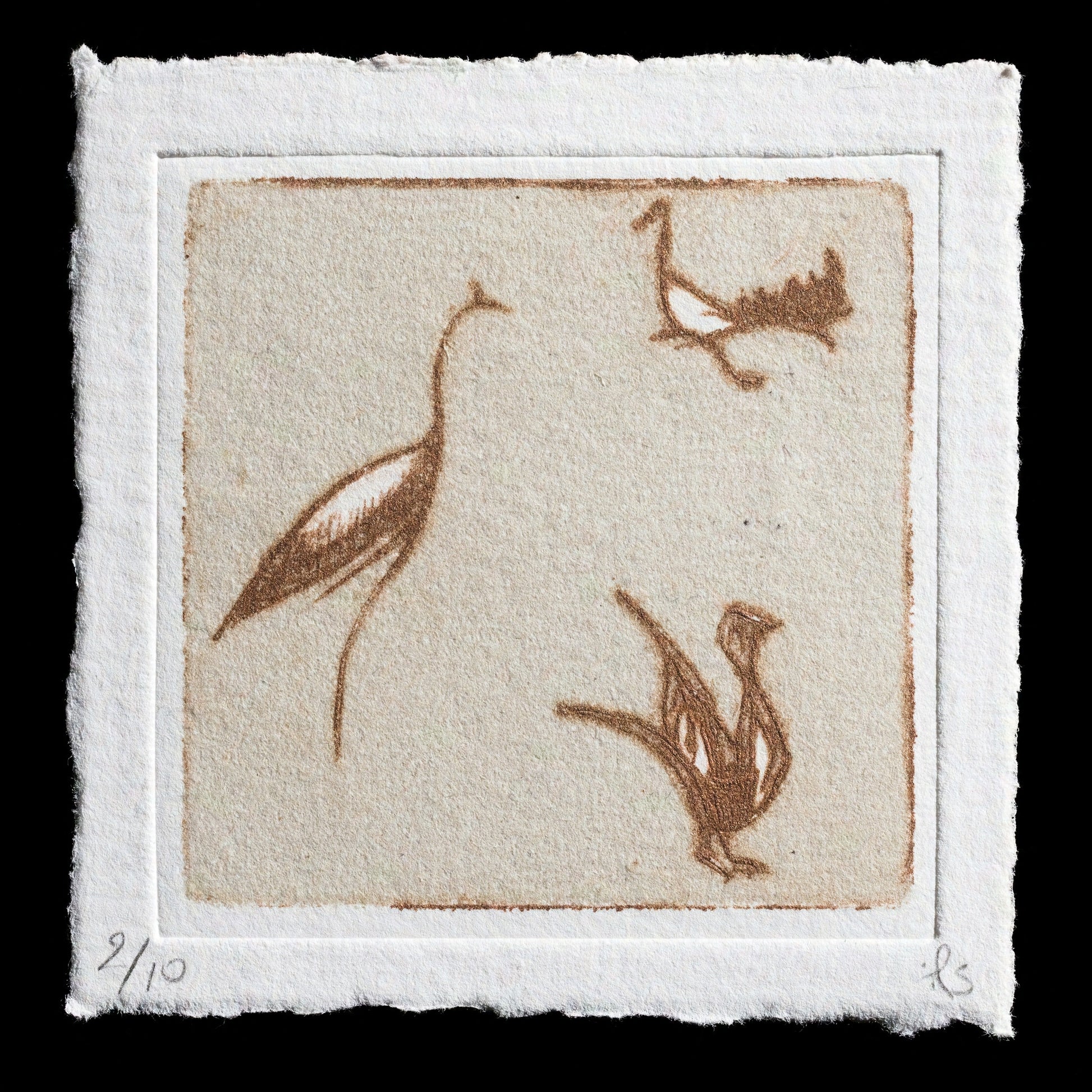 This print, titled 'Seaweedy Birdybeings' by Phyllida Shelley, is a unique blend of intaglio, drypoint, and monoprint techniques. The artwork features three bird-like figures with seaweed-like appendages, rendered in dark brown ink on beige paper. The print's composition showcases these enigmatic creatures amidst abstract shapes, inviting the viewer to ponder their significance.